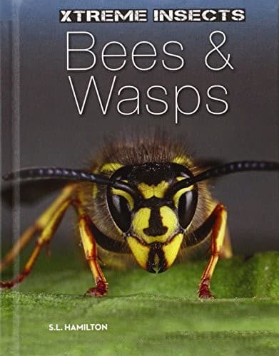 Tapa de Bees & Wasps