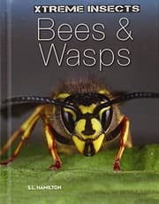 Tapa de Bees & Wasps