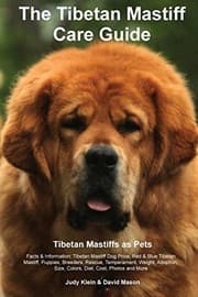 Tapa de The Tibetan Mastiff Care Guide. Tibetan Mastiff as Pets Facts & Information
