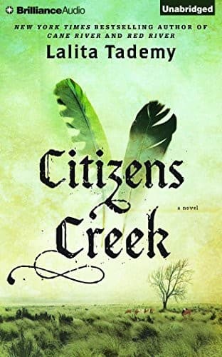 Tapa de Citizens Creek