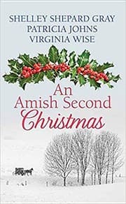 Tapa de An Amish second Christmas [Large print]