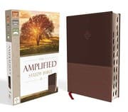 Tapa de The Amplified Study Bible, Leathersoft, Brown, Thumb Indexed