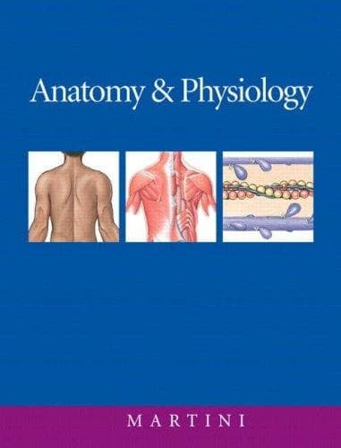 Tapa de Anatomy and physiology