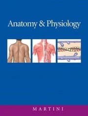 Tapa de Anatomy and physiology