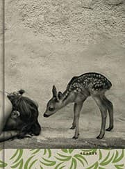 Tapa de Summer of the Fawn