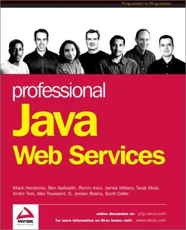 Tapa de Professional Java Web Services