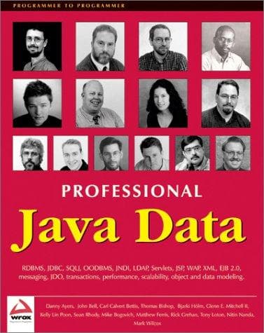Tapa de Professional Java data