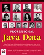 Tapa de Professional Java data