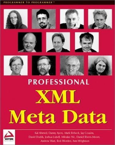 Tapa de Professional XML meta data