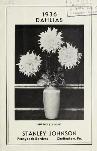Tapa de 1936 dahlias