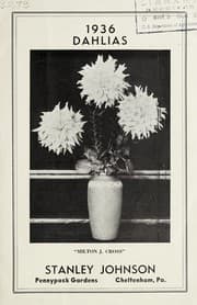 Tapa de 1936 dahlias