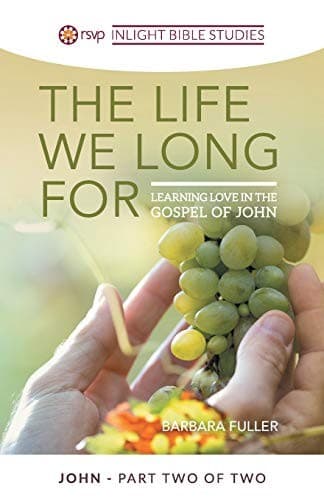 Tapa de The Life We Long For