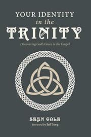 Tapa de Your Identity in the Trinity