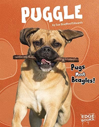 Tapa de Puggle