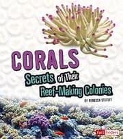Tapa de Corals