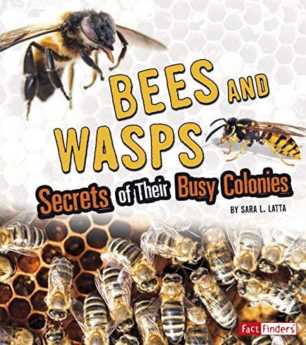 Tapa de Bees and Wasps