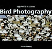 Tapa de An Essential Guide to Bird Photography