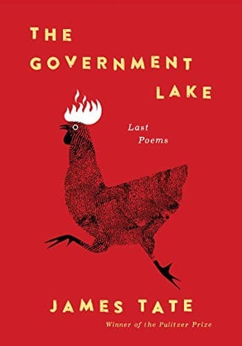 Tapa de The Government Lake