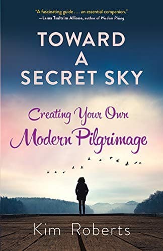 Tapa de Toward a Secret Sky