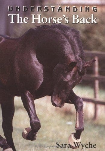 Tapa de Understanding the Horse's Back