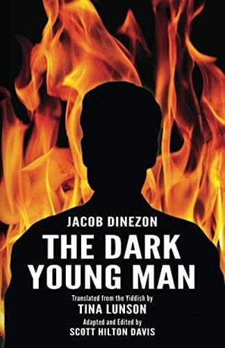 Tapa de The Dark Young Man