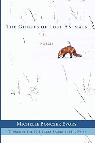 Tapa de The Ghosts of Lost Animals