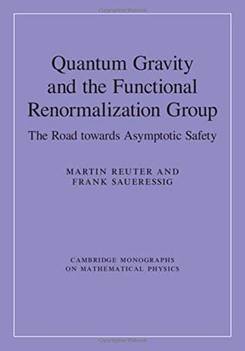 Tapa de Quantum Gravity and the Functional Renormalization Group