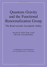 Tapa de Quantum Gravity and the Functional Renormalization Group
