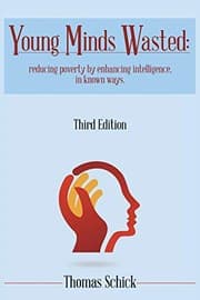Tapa de Young Minds Wasted