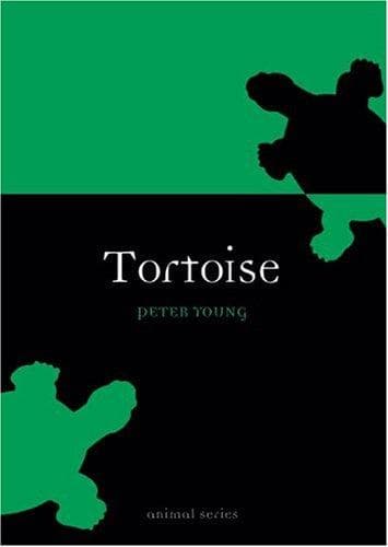 Tapa de Tortoise