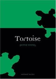 Tapa de Tortoise