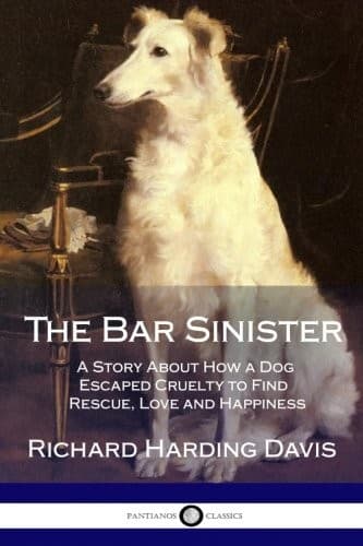 Tapa de The Bar Sinister