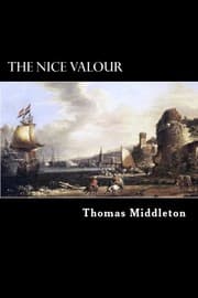 Tapa de The Nice Valour