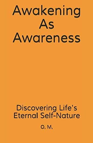 Tapa de Awakening As Awareness