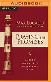 Tapa de Praying the Promises