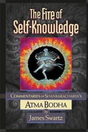 Tapa de The Fire of Self Knowledge