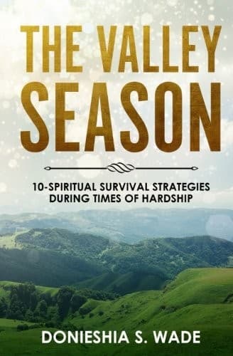 Tapa de The Valley Season
