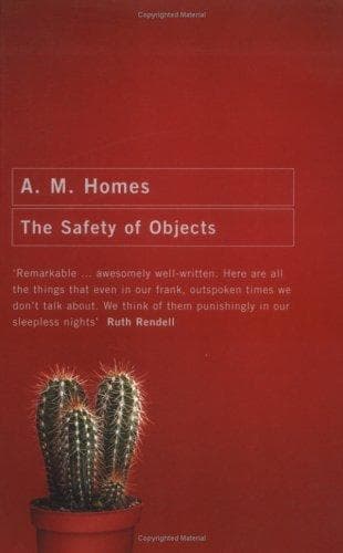 Tapa de The Safety of Objects