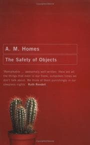 Tapa de The Safety of Objects