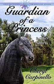 Tapa de Guardian of a Princess & Other Shorts