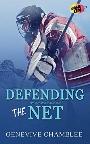 Tapa de Defending the Net