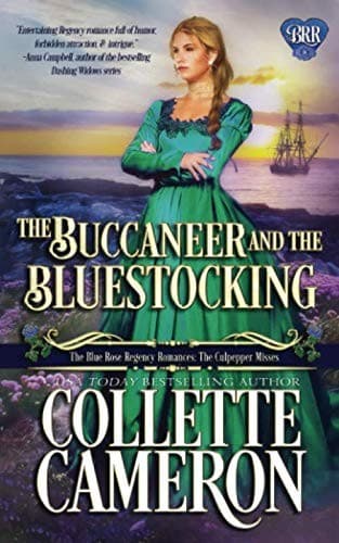 Tapa de The Buccaneer and the Bluestocking