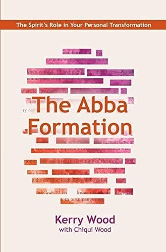 Tapa de The Abba Formation