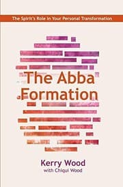 Tapa de The Abba Formation