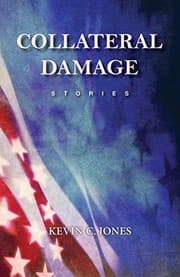 Tapa de Collateral Damage