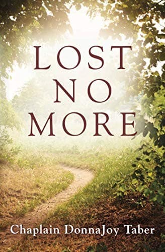 Tapa de Lost No More