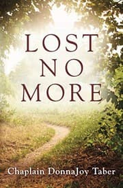 Tapa de Lost No More