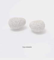 Tapa de Vija Celmins