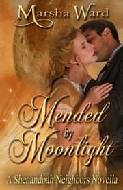 Tapa de Mended by Moonlight