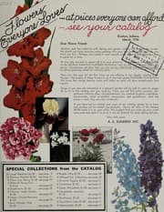 Tapa de Flowers everyone loves, at prices everyone can afford